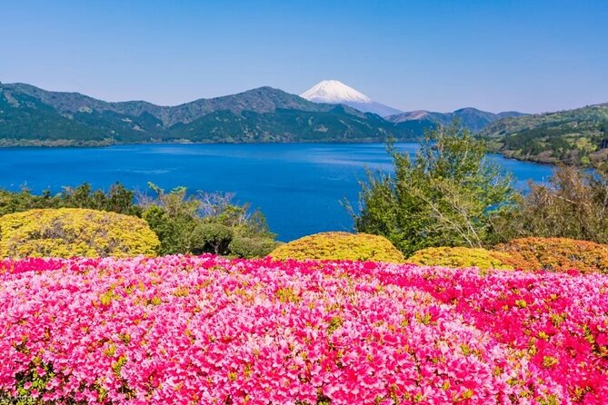Full Day Guided Trip to Mt. Fuji and Hakone From Tokyo - Additional Information