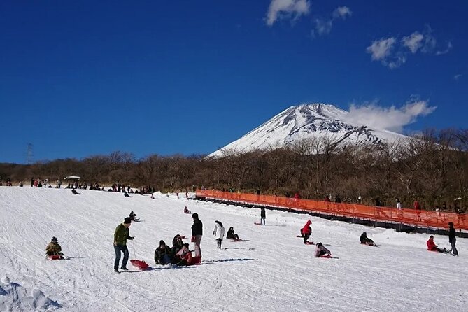 Full Day Guided Trip to Mt. Fuji and Hakone From Tokyo - Wheelchair and Stroller Access