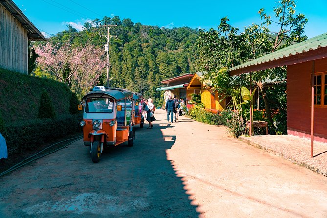 Full-Day Guided Tuk Tuk Chiang Mai Adventure and Rafting - Tuk Tuk Driver Training