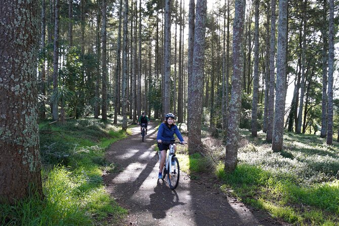 Full Day Guided Waikato River Trail E-bike Tour - Health and Accessibility