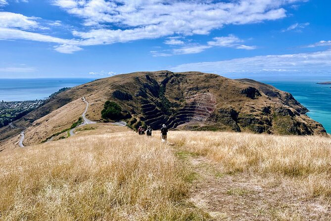 Full Day Guided Walking Tour and Picnic on Banks Peninsula - Inclusions and Amenities