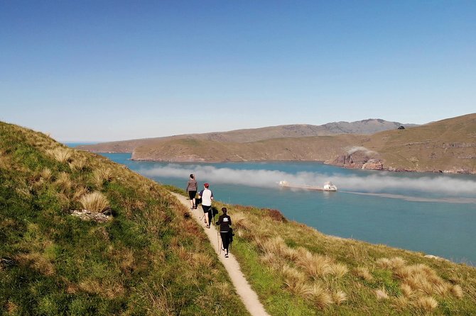 Full Day Guided Walking Tour and Picnic on Banks Peninsula - Pickup and Meeting Point