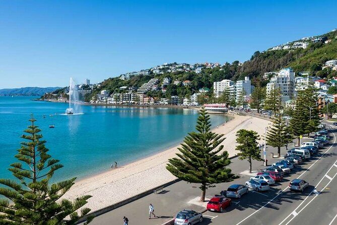 Full Day Guided Wellington Tour including guided tour at Te Papa - Key Points