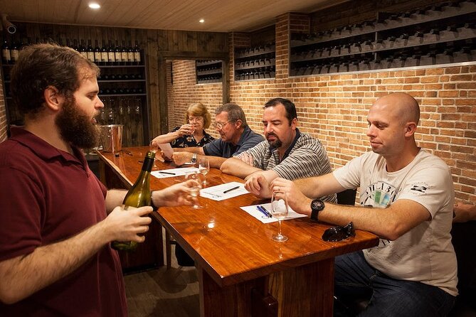 Full-Day Guided Wine Tour in Mt Tamborine From Gold Coast - Accessibility and Transportation