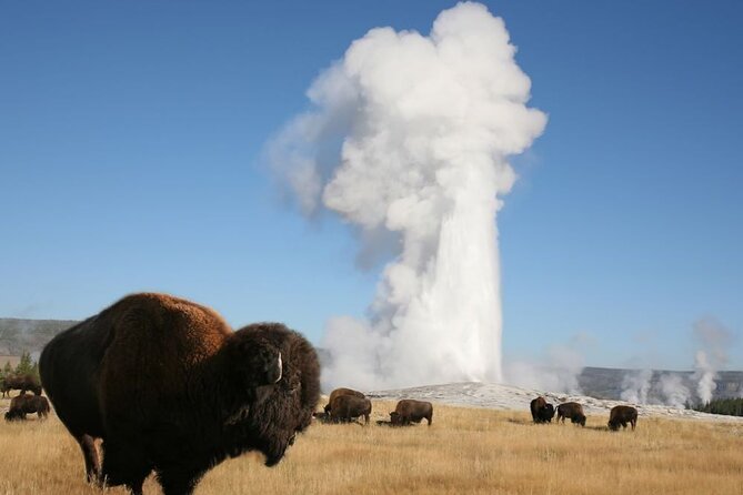 Full-Day Guided Yellowstone Day Tour - Key Inclusions