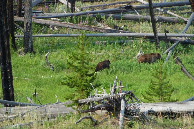 Full-Day Guided Yellowstone Day Tour - Cancellation Policy