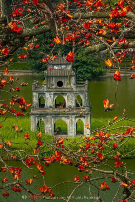 Full Day: Ha Noi City Tour by Limousine/Shuttle Bus - Visitor Guidelines