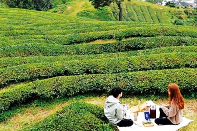 Full-Day Hadong, Gwangyang, Cherry Blossom, Green Tea Fields Private Tour - Exploring Hadong