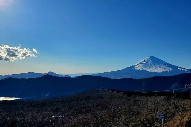 Full Day Hakone Private Tour With English Guide - Pickup Locations