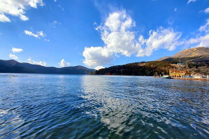 Full Day Hakone Private Tour With English Guide - Pricing