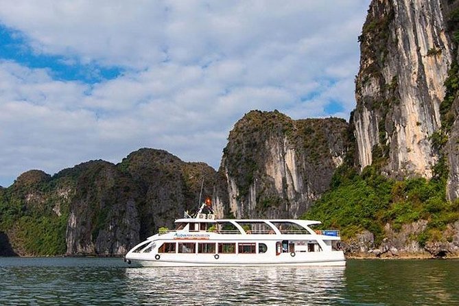 Full-Day Halong Bay Islands and Cave Tour Transfer 2 Ways by Newest Expressway - Halong Bay Activities