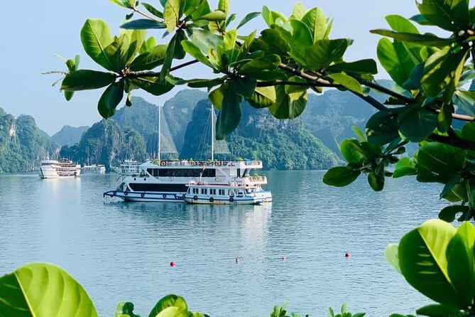 Full-Day Halong Bay Islands and Cave Tour Transfer 2 Ways by Newest Expressway - Lunch and Exploration