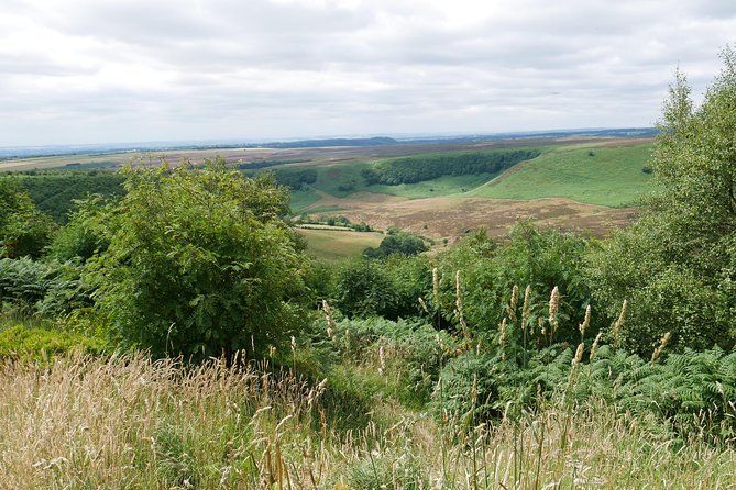 Full-Day Heartbeat Locations Tour From York - Recap