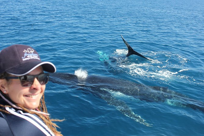 Full Day Hervey Bay Premium Whale Watching Cruise - Key Points