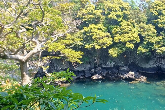 Full Day Highlight Experience of Jeju Island - Meeting and Pickup