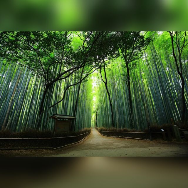 Full Day Highlights Destination of Kyoto With Hotel Pickup - Serene Golden Pavilion Visit