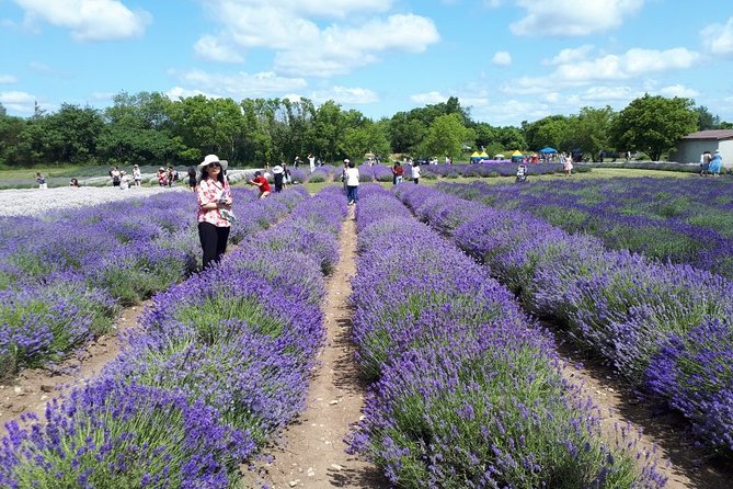 Full-Day Highlights of Prince Edward County Private Tour - Location