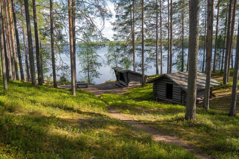 Full Day Hike at Iso-Palonen Nature Reserve - Good To Know