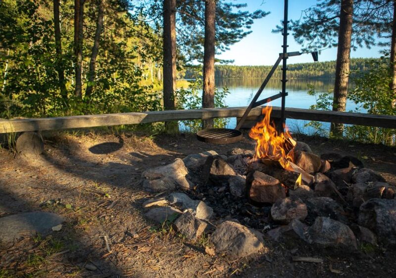 Full Day Hike at Iso-Palonen Nature Reserve - Landscape and Wildlife Highlights