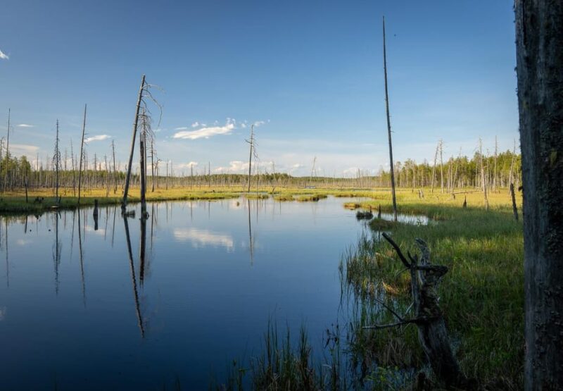 Full Day Hike at Iso-Palonen Nature Reserve - Transportation and Guidance Provided