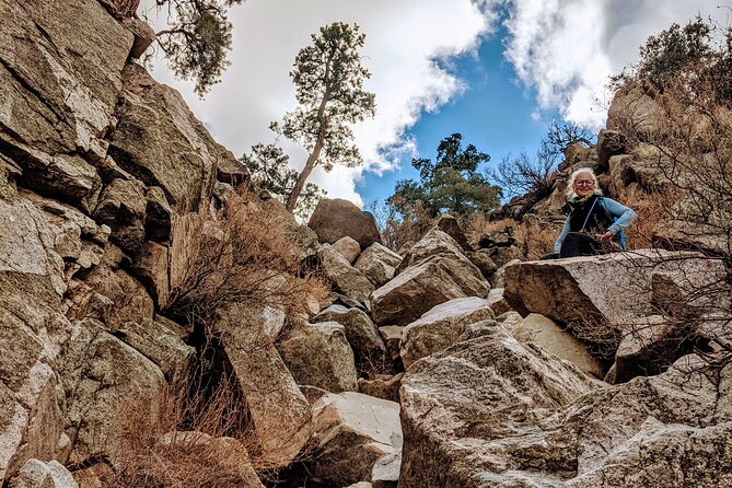 Full Day Hike in Joshua Tree National Park - Gear and Essentials Provided