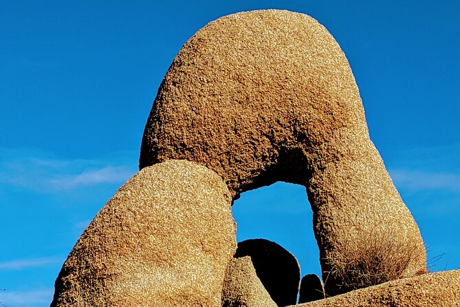 Full Day Hike in Joshua Tree National Park - Seasonal Variations in Timing