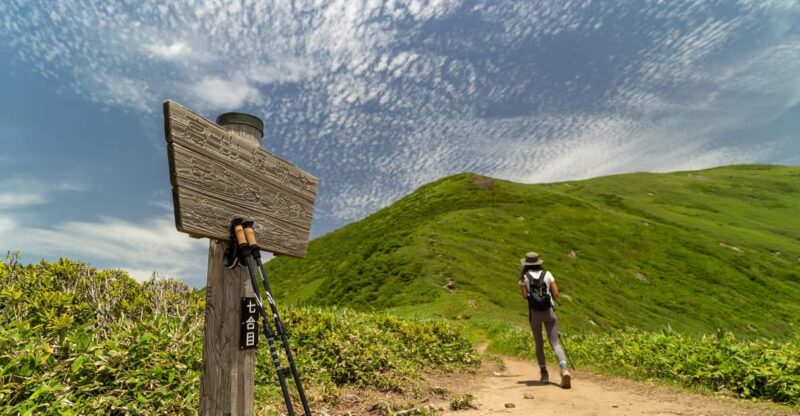 Full Day Hike to Mount Tairappyo - Key Points