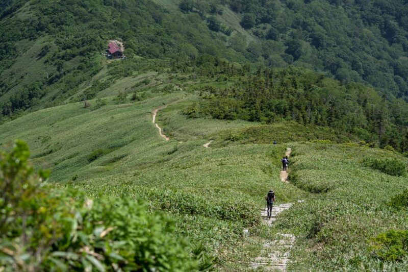 Full Day Hike to Mount Tairappyo - Restrictions