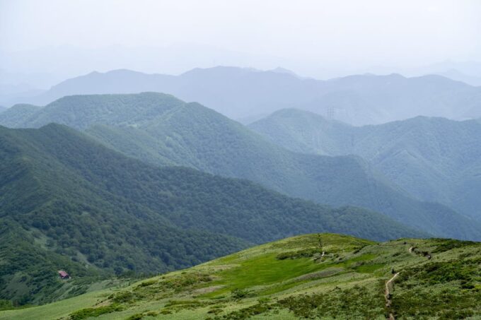Full Day Hike to Mount Tairappyo - About the Tour Guide
