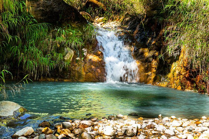 Full Day Hike Tour from Dominica - FAQ