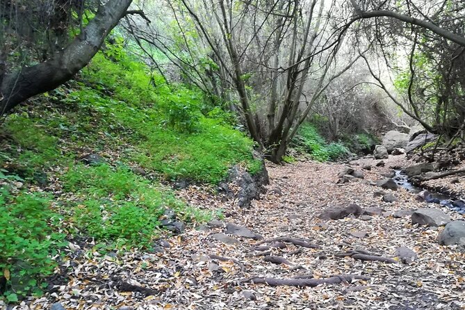 Full Day Hiking and Waterfalls Experience - Meeting Points and Schedule