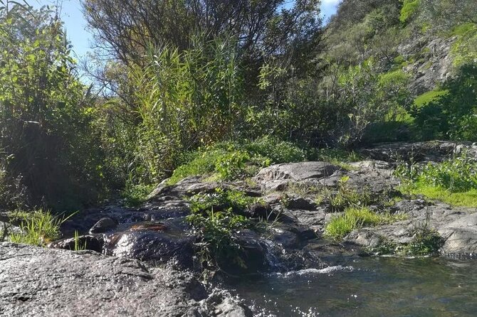 Full Day Hiking and Waterfalls Experience - Safety and Conditions
