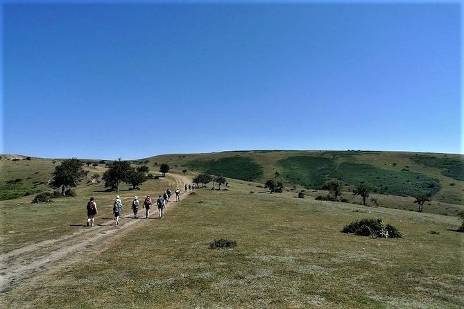 Full-Day Hiking at Cappadocia - Reviews and Ratings