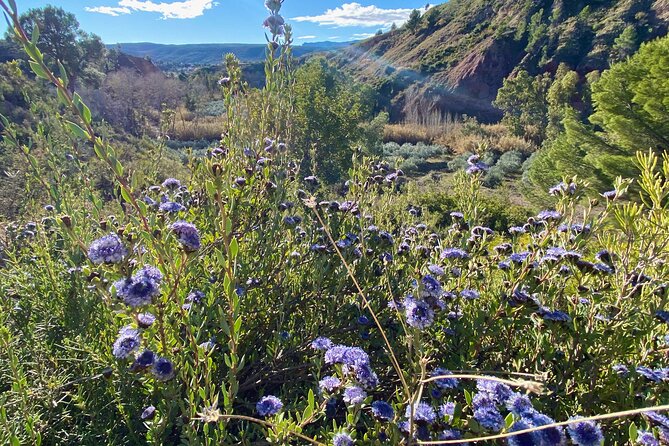Full-Day Hiking at Ruta the Aqua Across Pena Cortada - Weather Considerations and Cancellations
