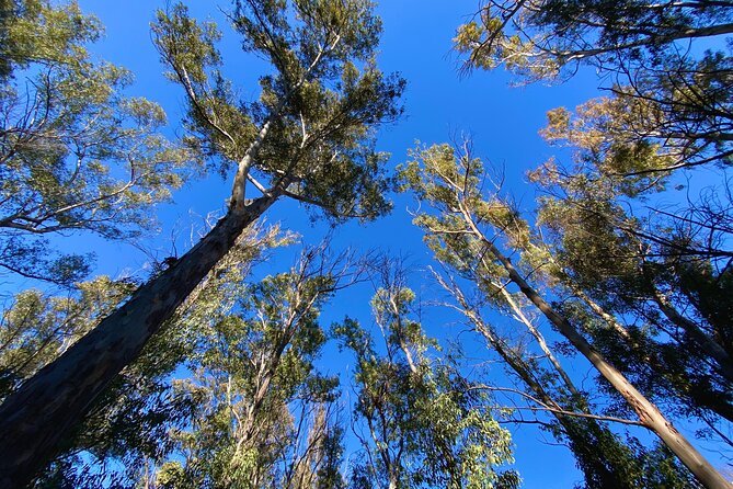 Full-Day Hiking at Ruta the Aqua Across Pena Cortada - Booking and Cancellation Policy