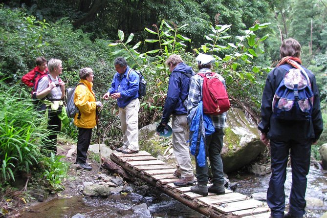 Full Day Hiking Faial Da Terra (Min. 2 Persons) - Salto Do Prego