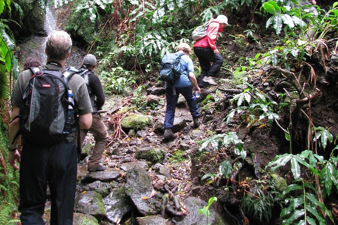 Full Day Hiking Faial Da Terra (Min. 2 Persons) - Inclusions