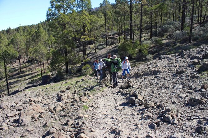 Full Day Hiking Gran Canaria Peaks of Gran Canaria - Route Modification and Cancellation