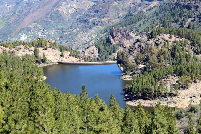 Full Day Hiking Gran Canaria Peaks of Gran Canaria - Recommended Minimum Age
