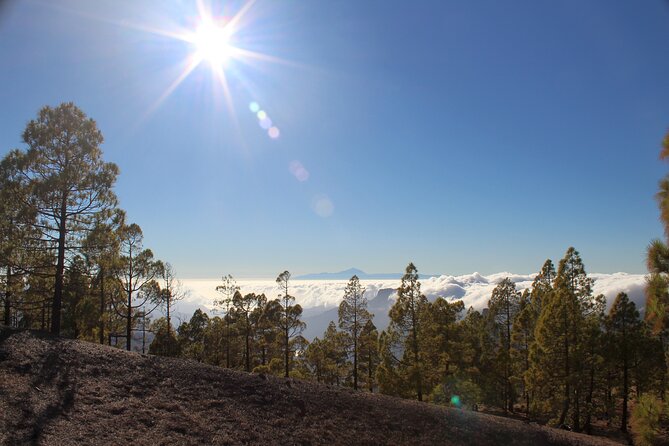 Full Day Hiking Gran Canaria Peaks of Gran Canaria - Traveler Capacity