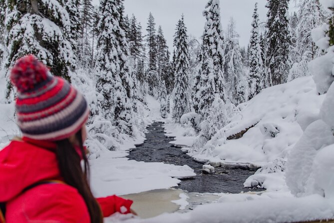 Full Day Hiking in Korouoma Canyon Frozen Waterfalls - Suitability and Accessibility