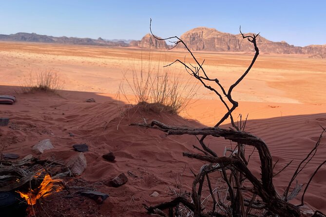 Full-Day Hiking in Wadi Rums Desert With Lunch - Cancellation Policy