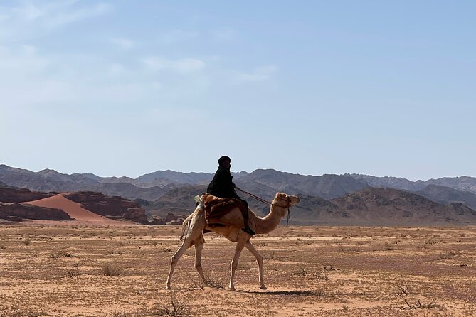 Full-Day Hiking in Wadi Rums Desert With Lunch - Booking and Payment