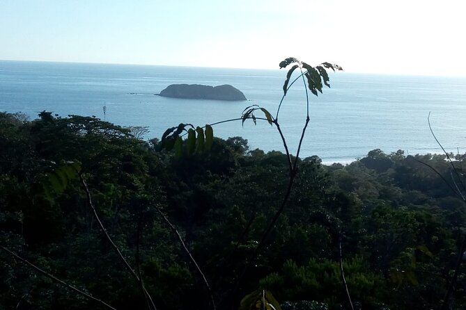 Full Day Hiking Manuel Antonio and Watching Wild Life at Nature From San Jose - Tour Logistics and Inclusions