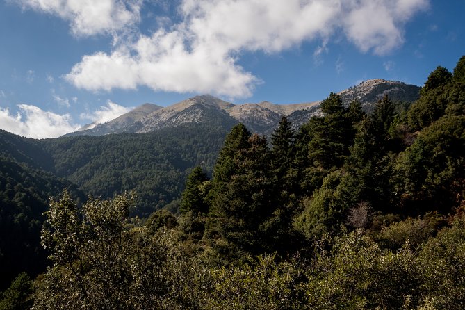 Full-Day Hiking Mount Taygetos Summit With Picnic - Meeting and Pickup