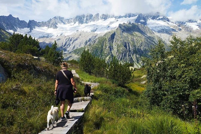 Full-Day Hiking Swiss Alps and Lake Lucerne With Pick-Up - Hiking Trails and Terrain