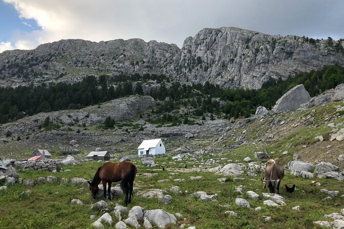 Full-Day Hiking Tour to Maganik Montenegro - Cancellation Policy