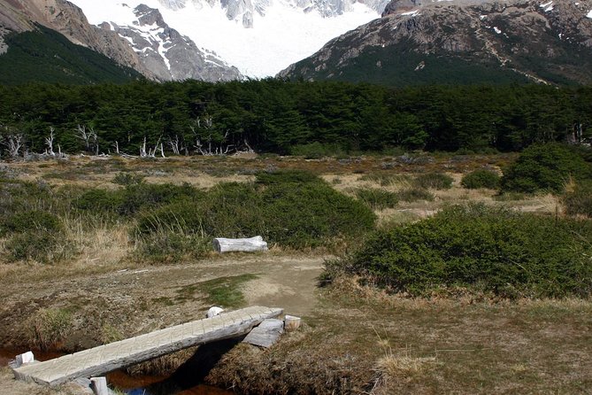 Full-Day Hiking Tour to the Base of Paine Towers at Torres Del Paine National Park - Reviews and Recommendations