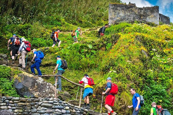 Full Day - Hiking Trail Ribeira Funda-Maia - Appreciation From the Host