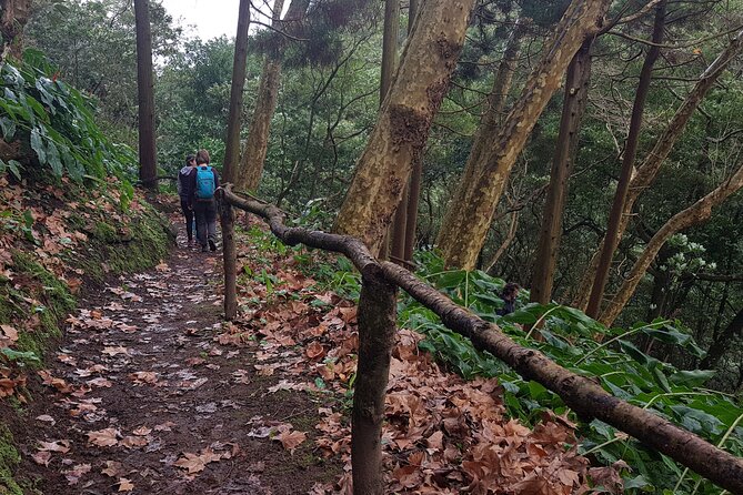 Full Day Hiking Trail Waterfalls - in Lomba De São Pedro - Azores - Key Points